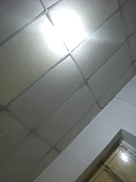 sexyboy fox online show from 04-28-26, 02:49