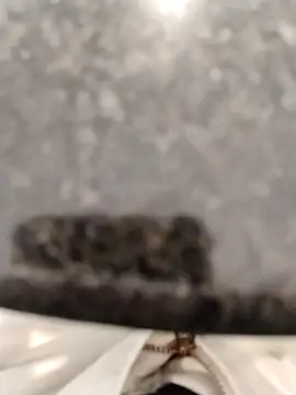 LeoMaduroSP online show from 09-17-25, 02:08