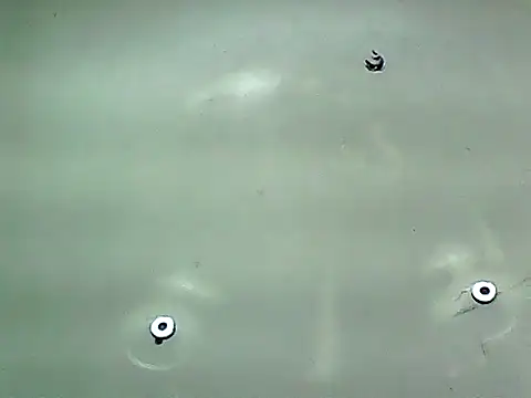 20cmloiro online show from 01-08-26, 05:46