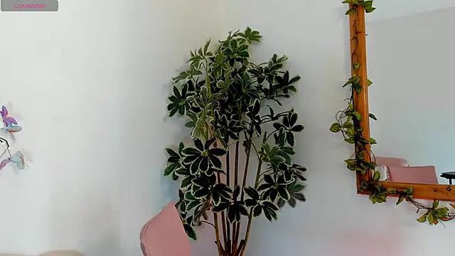 Snapshot of valerieMattson chatting on 10-15-25, 04:15 valerieMattson online show from 10-15-25, 04:15