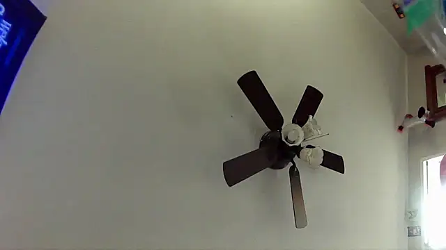 33Stella online show from 01-13-26, 06:50