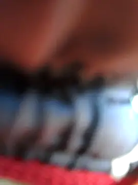 chef82 online show from 01-11-26, 03:08