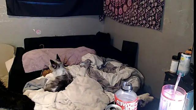 London Ray online show from 11-15-25, 11:47