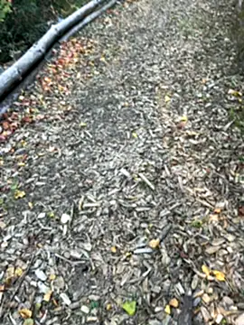 Snapshot of Mlkrrp chatting on 10-10-25, 04:30 Mlkrrp online show from 10-10-25, 04:30