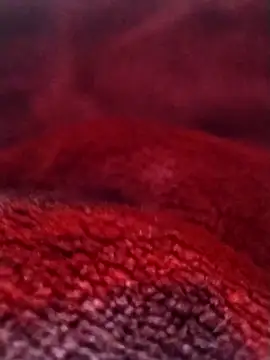 saneer69tew online show from 02-26-26, 06:13