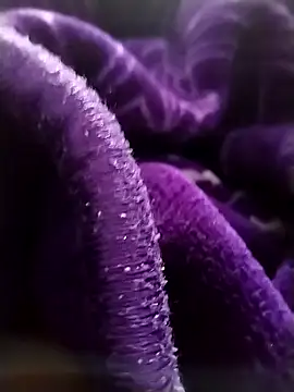 saneer69tew online show from 04-13-26, 06:28