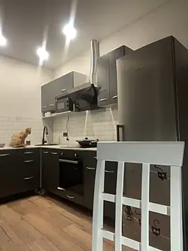 tammy gun online show from 11-19-25, 06:19