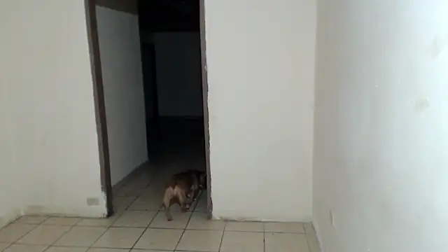 BlondZilla online show from 03-07-26, 07:37