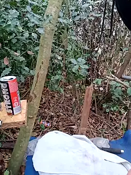 Wilsonn86 online show from 12-02-25, 09:22