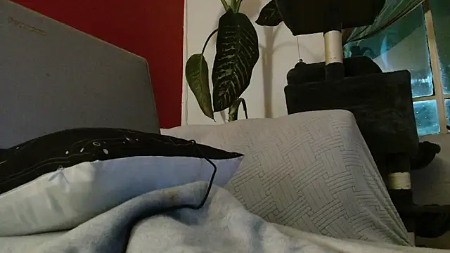 Tulindabonny online show from 03-06-26, 05:02