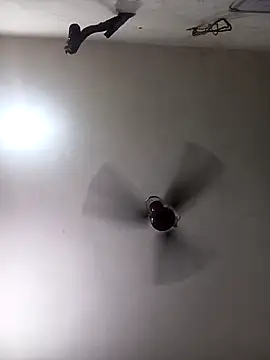 Trisha 71 online show from 09-19-25, 06:28