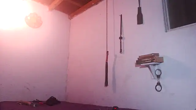 indomitaFox online show from 04-16-26, 05:41