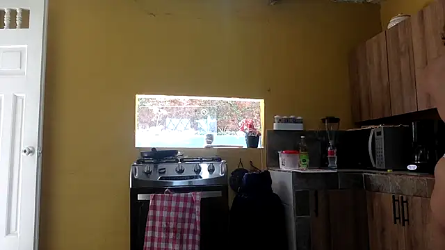 indomitaFox online show from 02-11-26, 03:01