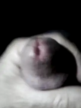 userbrasil12345 online show from 06-15-26, 04:12