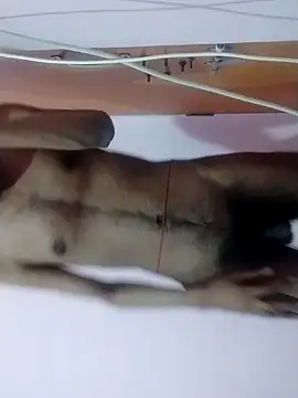 Slim boy 22 online show from 03-16-26, 04:54