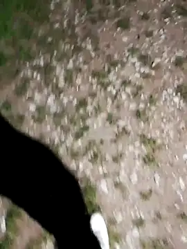 ARTANIS20 online show from 10-21-25, 08:19