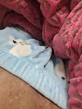 zzangzoa online show from 01-17-26, 01:15