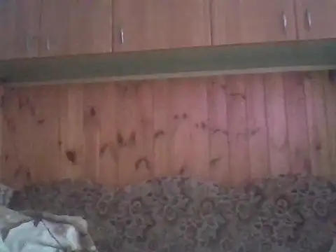 Maksymilian1 online show from 02-15-26, 02:49