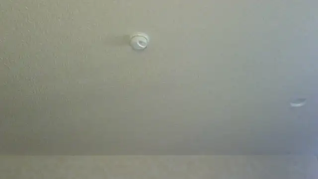 Flossee online show from 04-11-26, 12:18