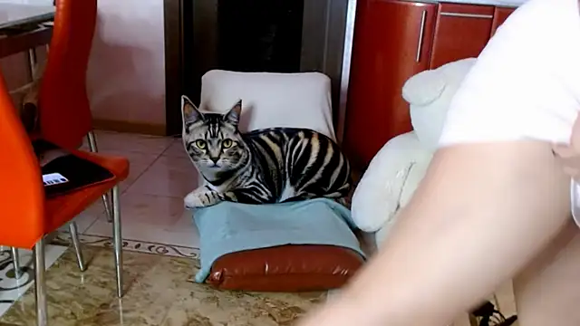 SquirtMilf00 online show from 04-08-26, 03:19