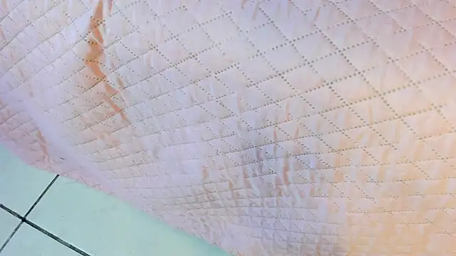  jasmine blush online show from 03-22-26, 01:45