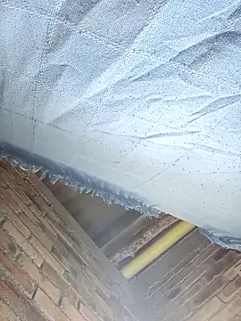 GaaraDiaz online show from 12-20-25, 08:01