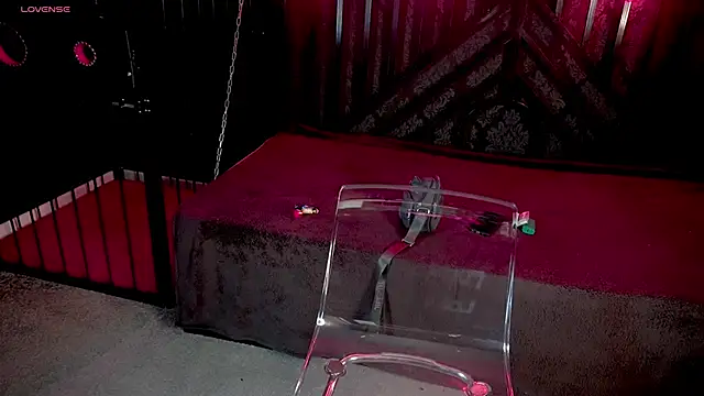 LiviaShy online show from 12-02-25, 02:41