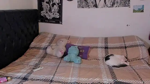 chloe kisses online show from 09-25-25, 11:49