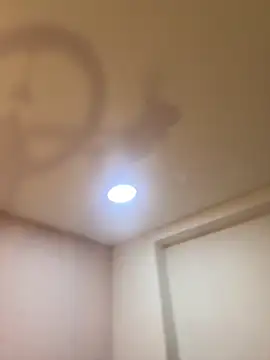 Bella  Wood online show from 03-21-26, 08:46