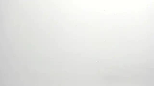 ximena vasquez8 online show from 12-17-25, 03:00