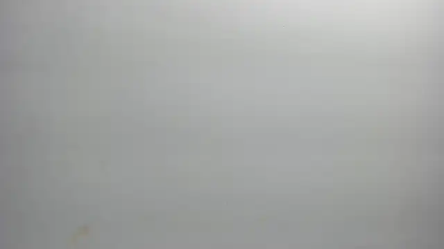 ximena vasquez8 online show from 02-21-26, 03:08