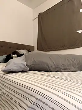 himNIGuys online show from 02-10-26, 01:48