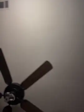 Snapshot of himNIGuys chatting on 09-27-25, 11:00 himNIGuys online show from 09-27-25, 11:00