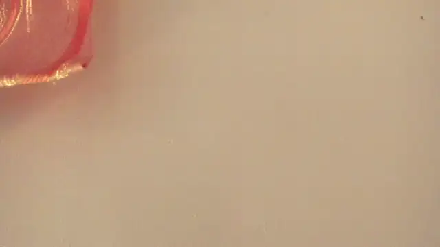 violet taylor  online show from 07-02-26, 02:23