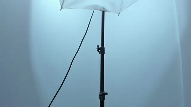 violet taylor  online show from 12-17-25, 02:16