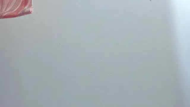 violet taylor  online show from 07-16-26, 02:19