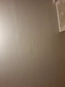 Snapshot of gazb90 chatting on 11-12-25, 11:41 gazb90 online show from 11-12-25, 11:41