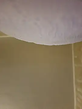 Snapshot of gazb90 chatting on 02-08-26, 05:10 gazb90 online show from 02-08-26, 05:10