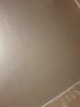 gazb90 online show from 01-14-26, 08:12