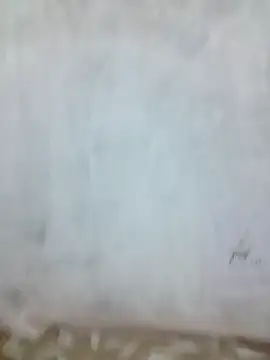 Snapshot of sia_143 chatting on 10-09-25, 05:30 sia 143 online show from 10-09-25, 05:30