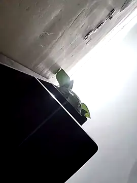 papukurty online show from 03-25-26, 01:50