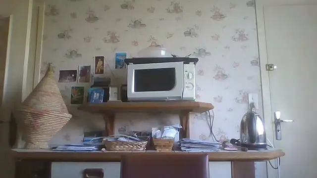 Snapshot of gegevincent chatting on 04-15-26, 11:27 gegevincent online show from 04-15-26, 11:27