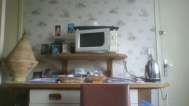 gegevincent online show from 11-29-25, 02:06