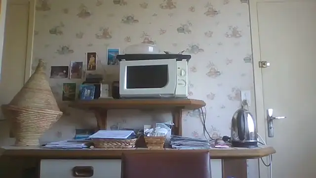 Snapshot of gegevincent chatting on 04-04-26, 01:17 gegevincent online show from 04-04-26, 01:17