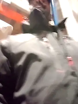 frenchblackc31 online show from 12-02-25, 03:14