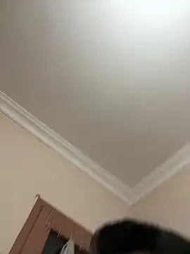 777emre online show from 04-19-26, 10:45