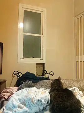 Pollagorda 34877 online show from 12-20-25, 10:01