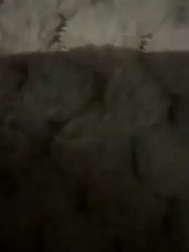 anonimgirl18old online show from 02-09-26, 06:50