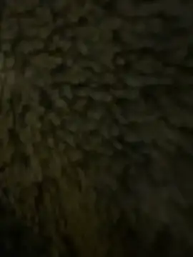 anonimgirl18old online show from 02-21-26, 06:32