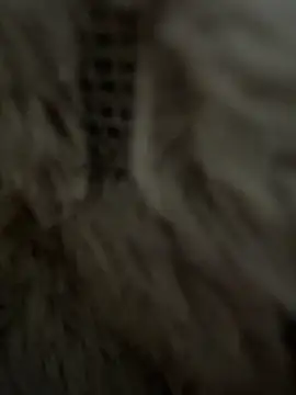 anonimgirl18old online show from 02-25-26, 08:36